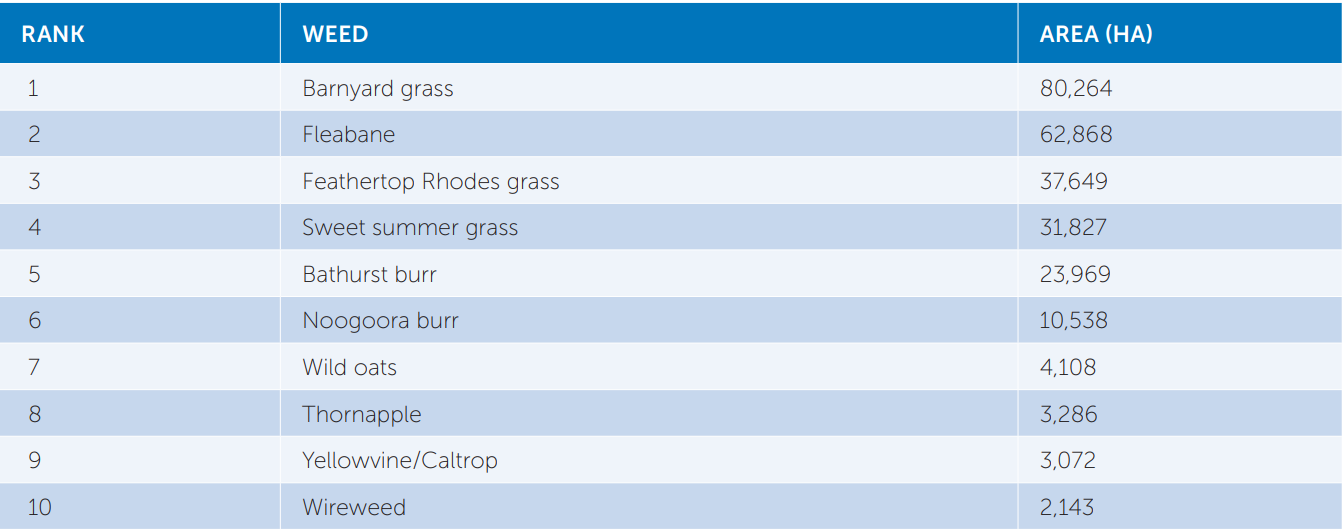 Blue-ranked table listing items and values in rows, with alternating light blue stripes.