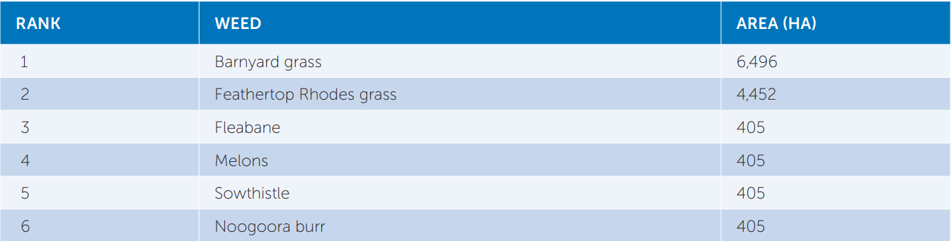 Blue table listing ranks, names, and ages with alternating light blue rows.