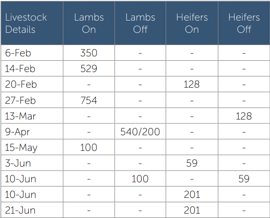 Blue livestock table showing dates and counts for lambs and heifers on/off.