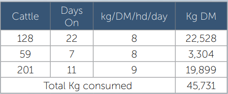 Table of cattle feed use showing counts, days, kg per head/day, and total kg consumed.