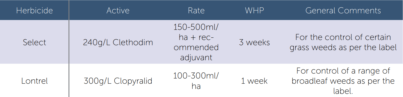 Blurred table of customer records with blue header row and several text columns.