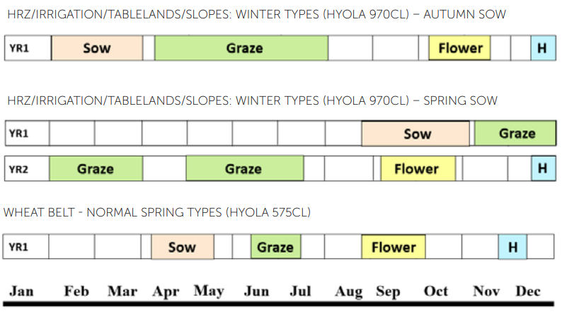 Crop rotation calendar chart with colored bars for sow, graze, flower, and harvest from Jan to Dec