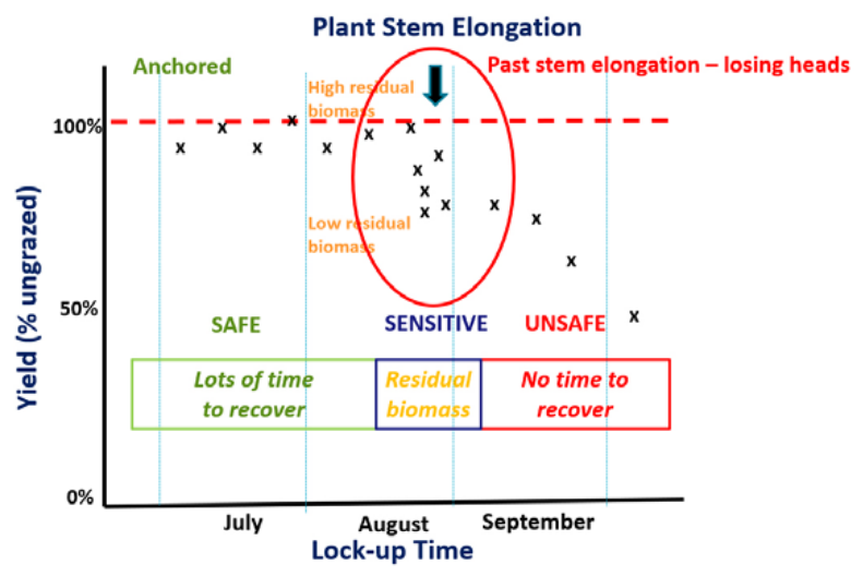 Chart of plant stem elongation vs lock-up time, with July–September zones labeled anchored, sensitive, and unsafe.