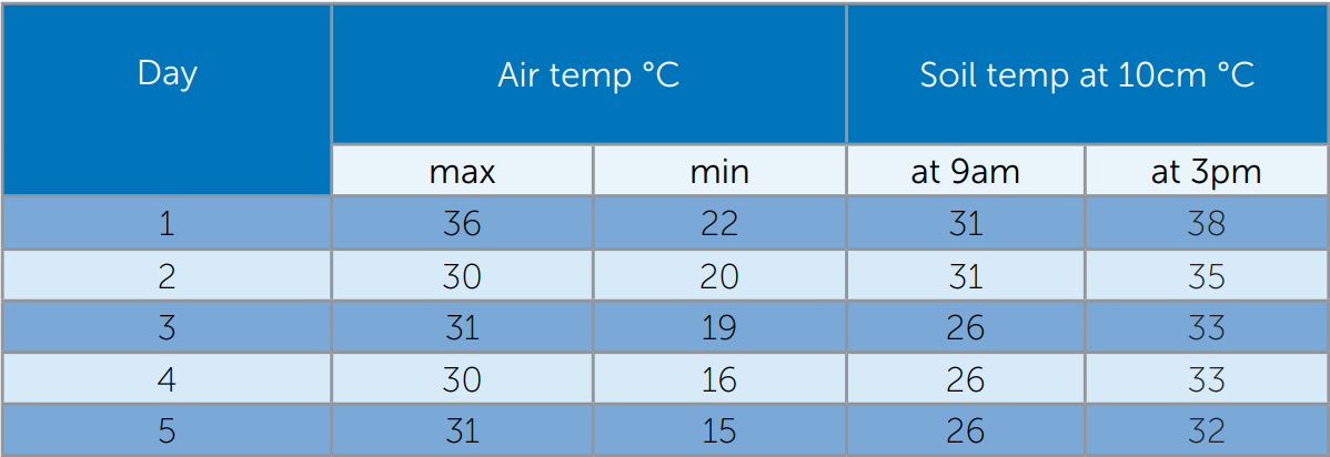 Blue table of artemia counts and soil temperature readings across days 1–5.