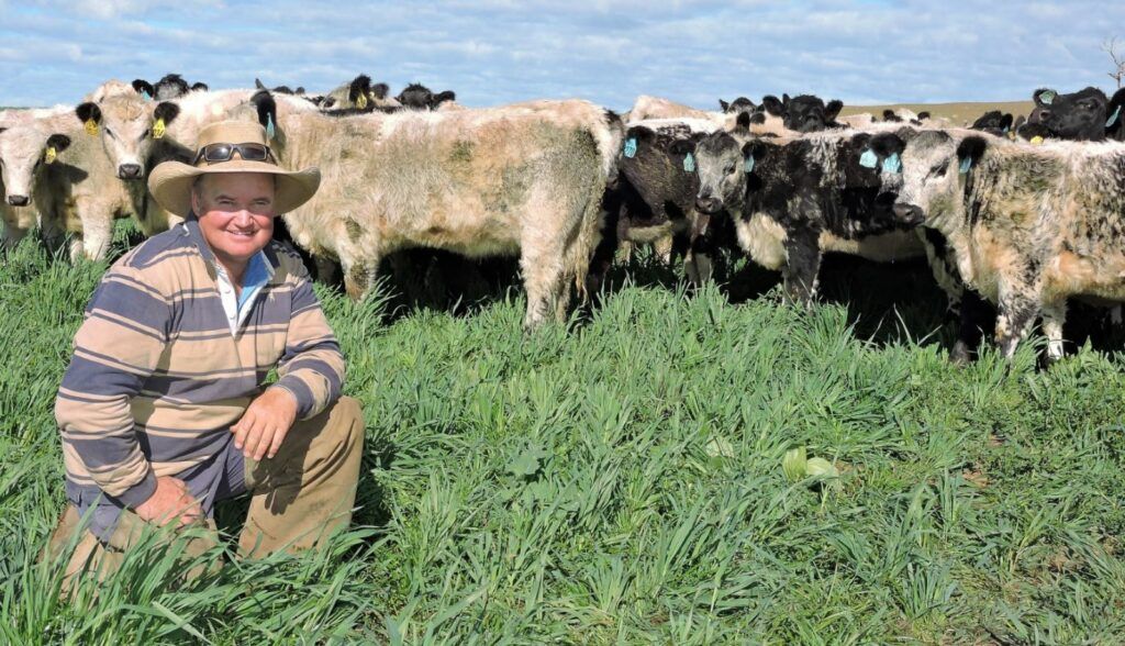Person crouching in a grassy field beside a herd of black-and-white cows under a blue sky