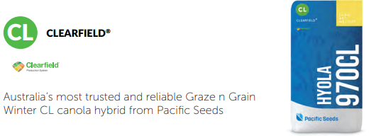 Clearfield CL Australia’s most trusted and reliable dazze n Ovan WT canola hybrid seeds pack, Pacific Seeds.