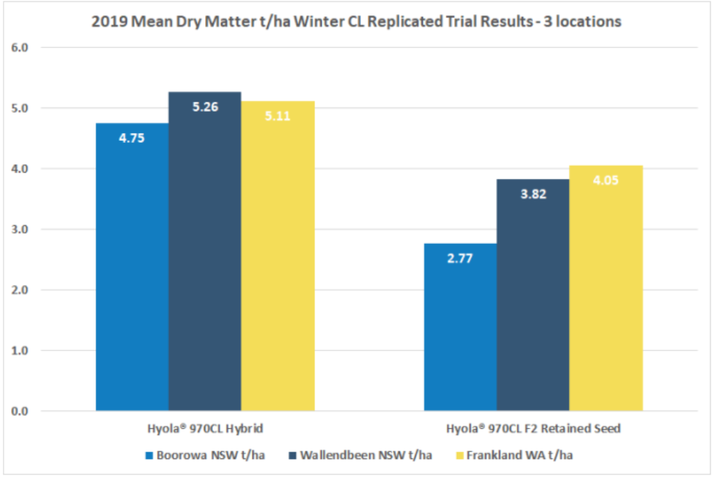 Bar chart of wheat trial results showing blue, dark blue, and yellow bars for two locations.