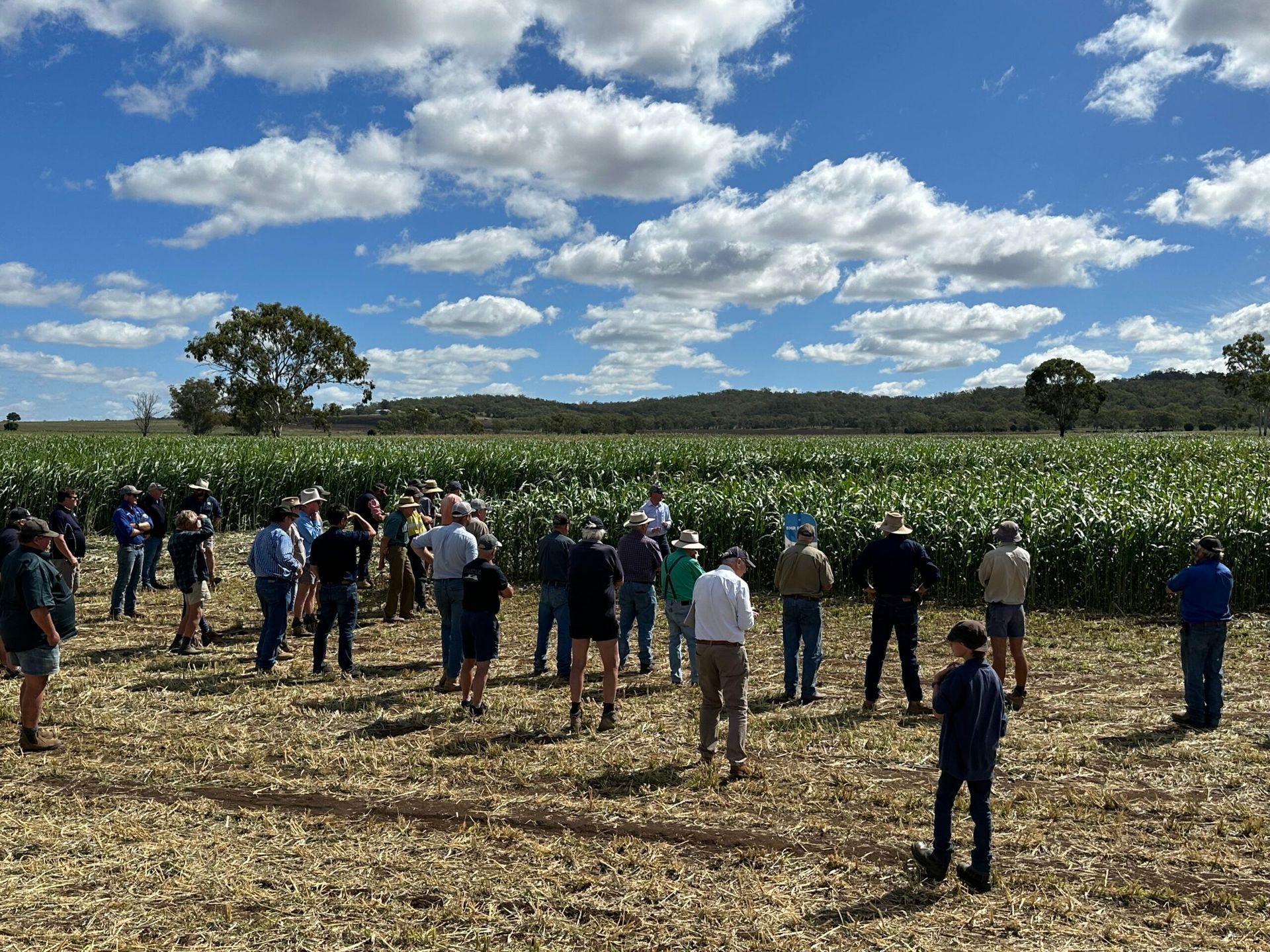 People gathered in a harvested field under a blue sky with clouds, facing a green crop area.