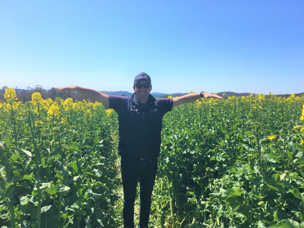 Person standing in a yellow flower field under a clear blue sky, arms outstretched.