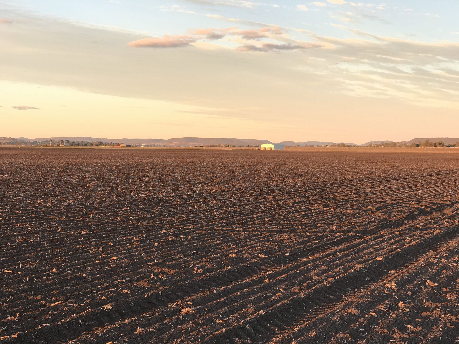 Plowed field at sunset with warm light under a partly cloudy sky.