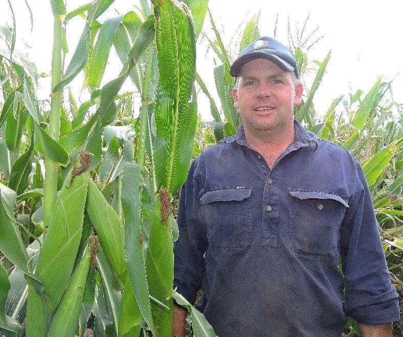Man standing in a green cornfield, wearing a dark jacket and cap, facing the camera.