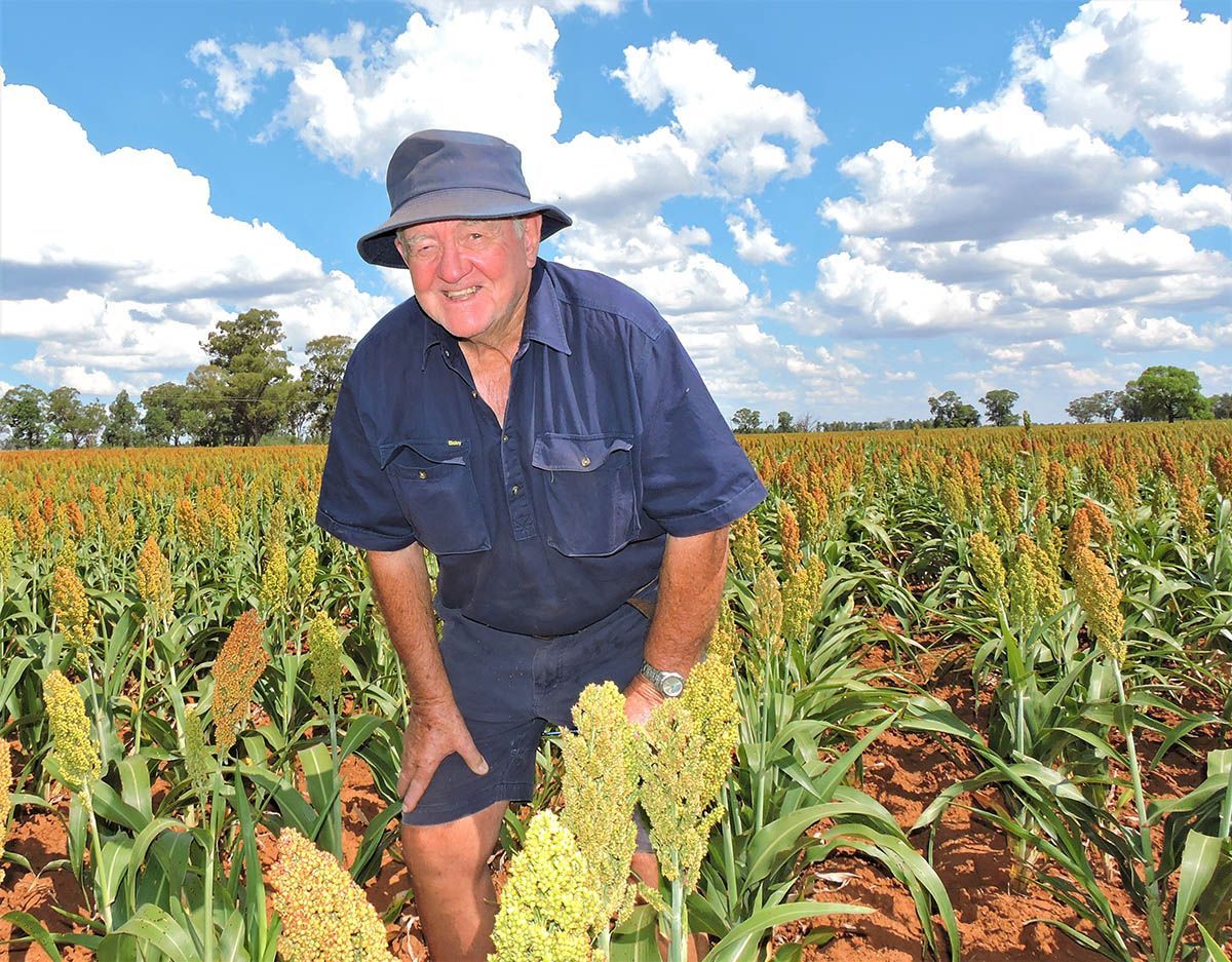 Farmer in a blue shirt and hat standing in a crop field under a cloudy sky