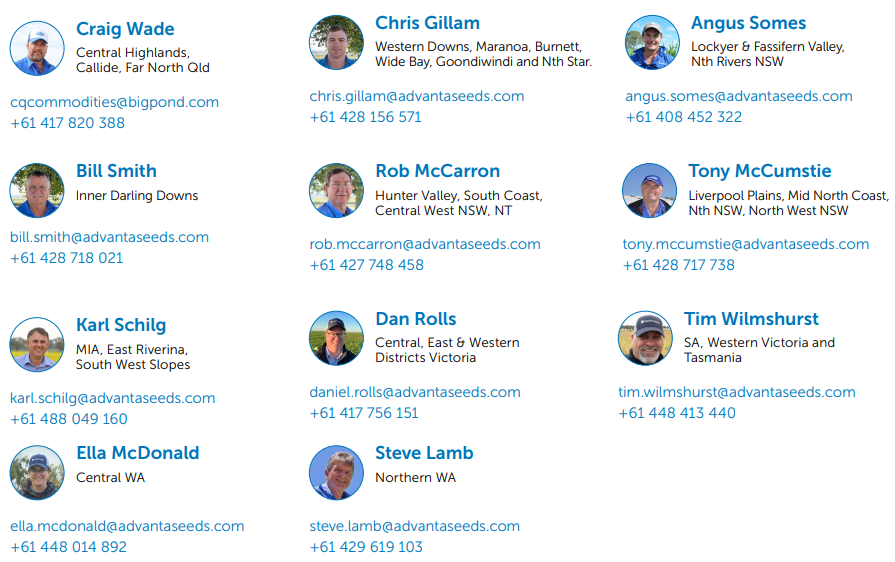 Grid of staff contact cards with profile photos, names, titles, emails, and phone numbers on a white background