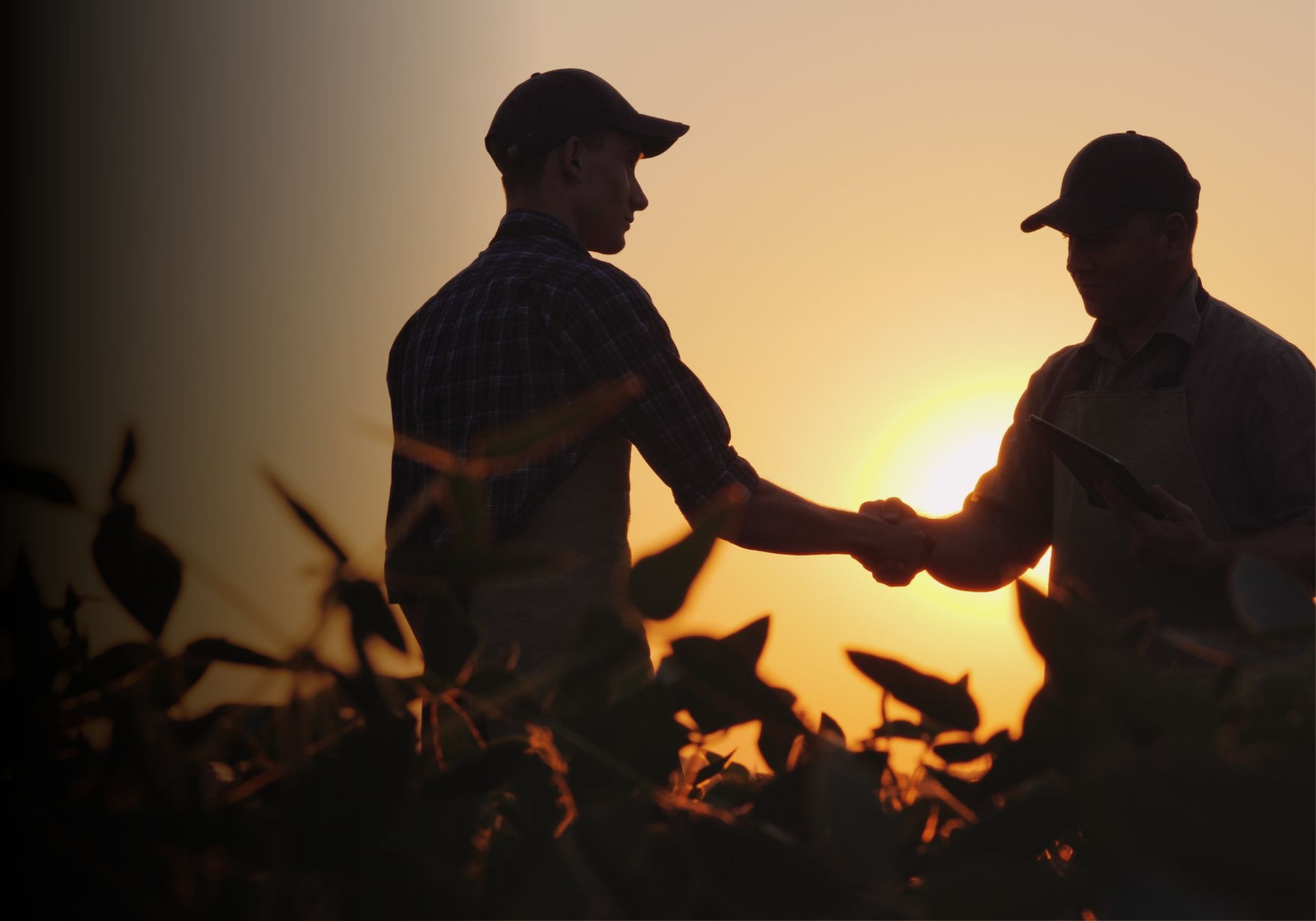 Two silhouetted workers shaking hands at sunset in a field