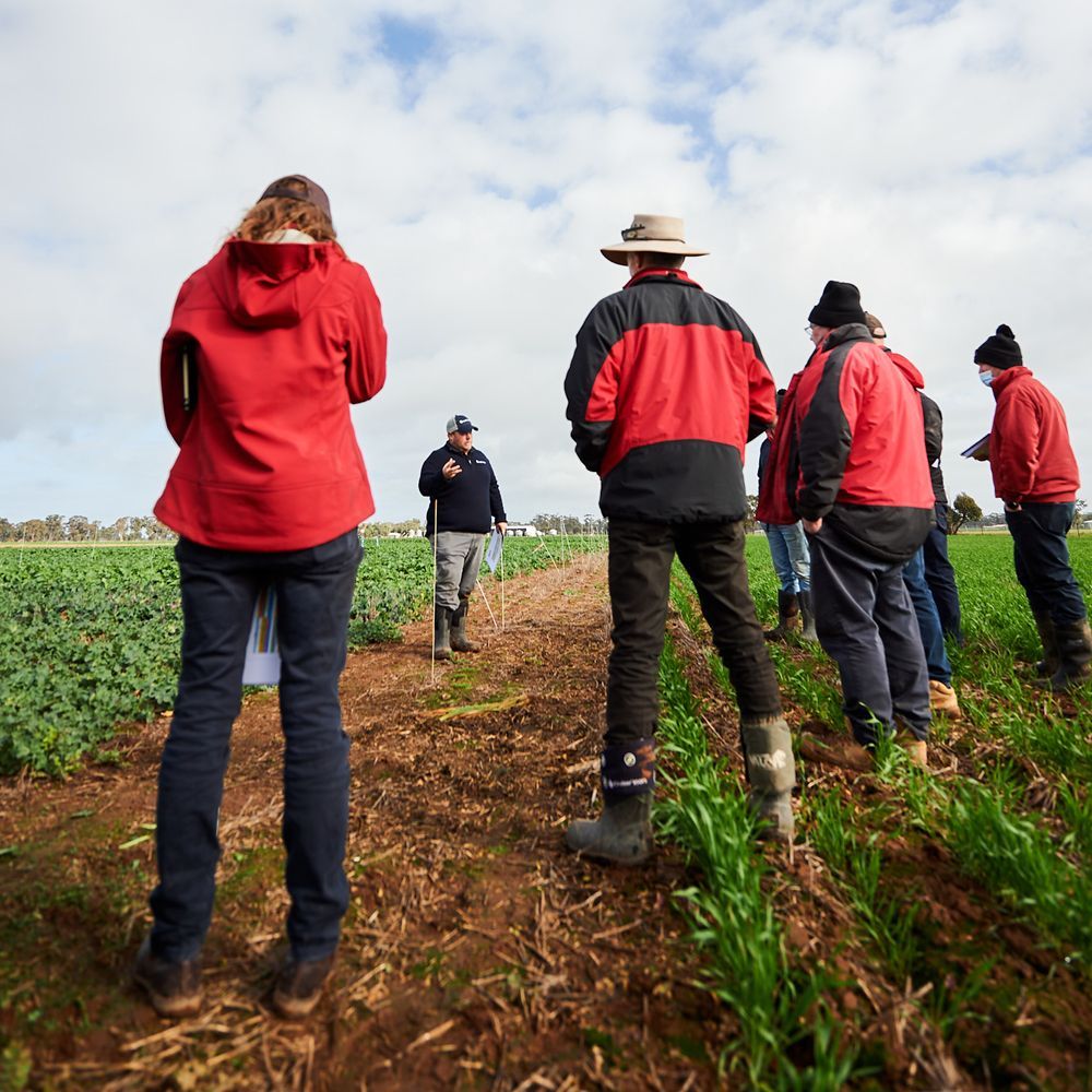 People in red jackets walking through a muddy field under a cloudy sky