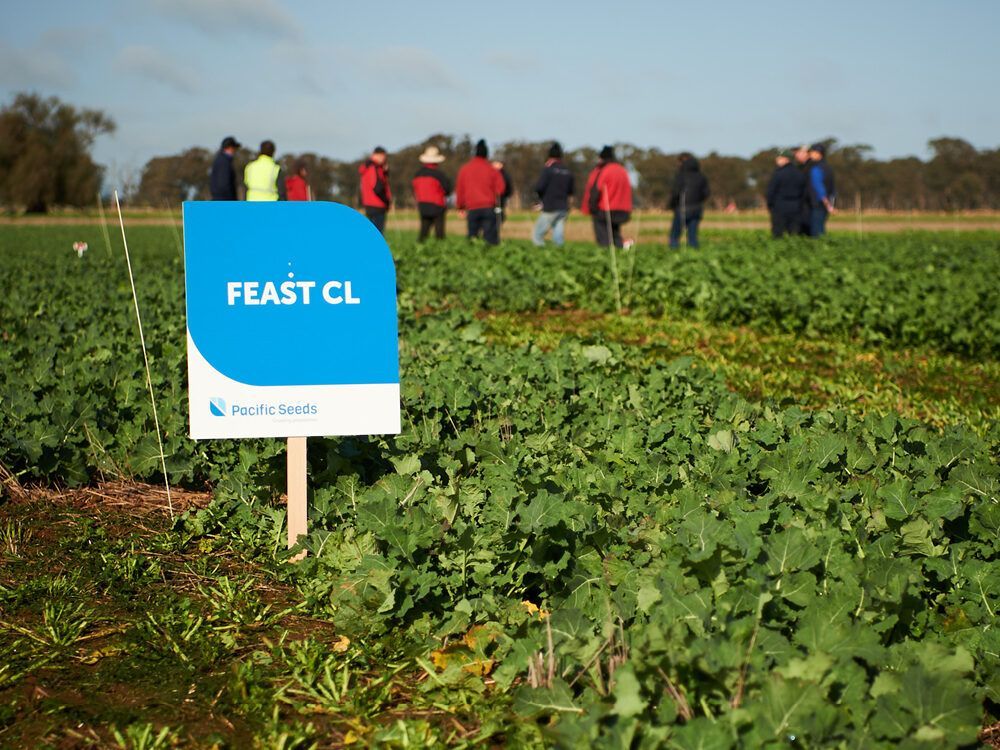 Blue sign reading “FEAST CL” in a green field with people walking in the background