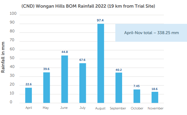 Bar chart of monthly rainfall at Wongan Hills BOM Rainfall 2022, with August highest and total 318.25 mm.