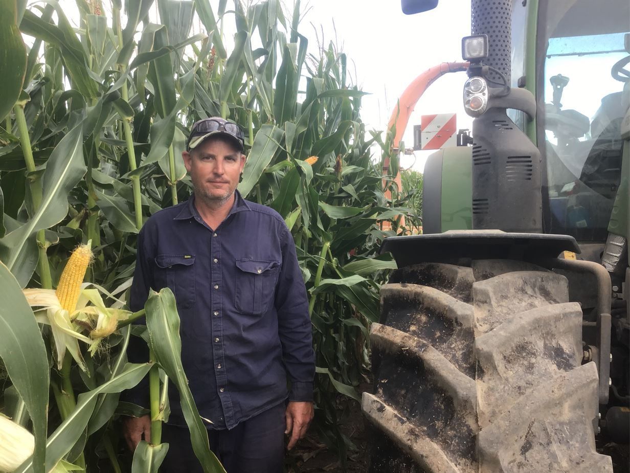 Farmer standing beside a tractor in a cornfield