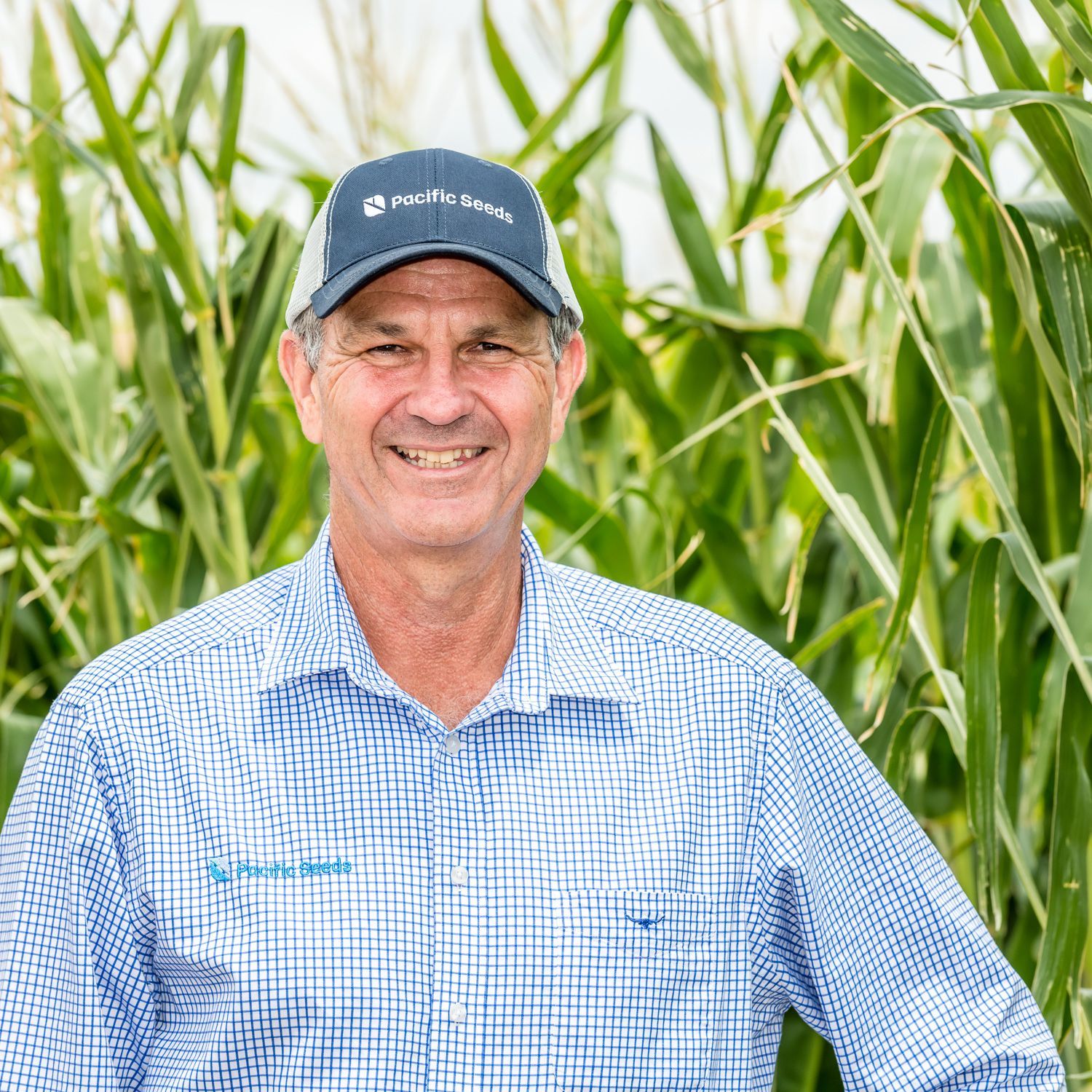 Smiling man in blue checkered shirt and cap standing in a green cornfield