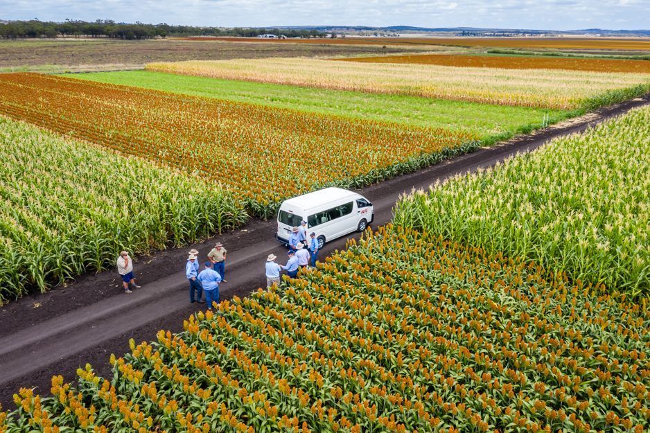 People walking beside a white van on a farm road through colorful crop fields