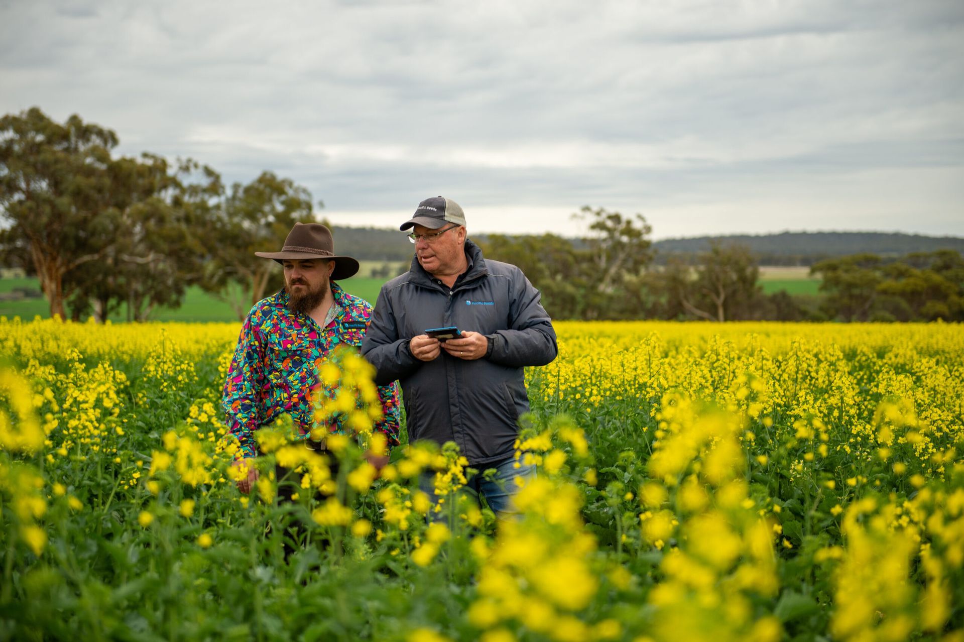 Two people stand in a yellow flower field, looking at something in one person’s hands.