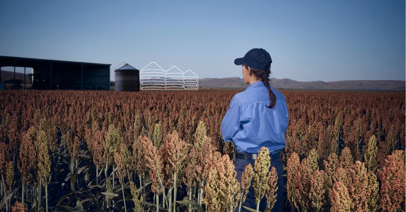 Person in blue stands in a crop field near farm buildings and silos under a clear sky.