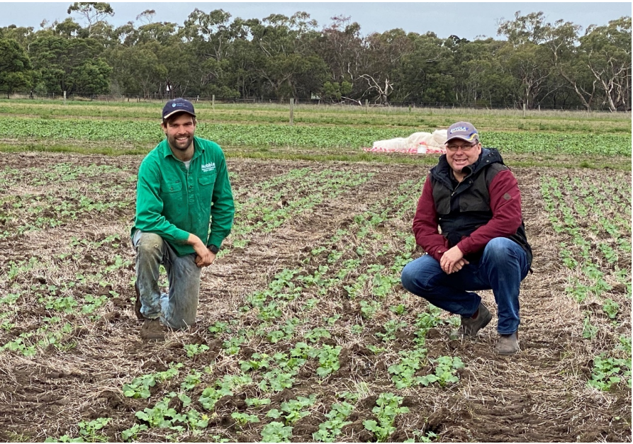 Two people kneeling in a muddy field with small green crops, one in a green jacket and one in a red vest.