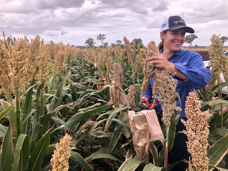 Person smiling in a cornfield, holding an ear of corn and a paper bag under a cloudy sky