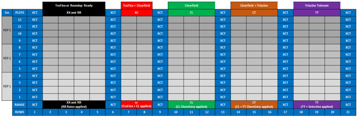Color-coded weekly schedule table with gray, red, green, orange, and purple columns and time slots.