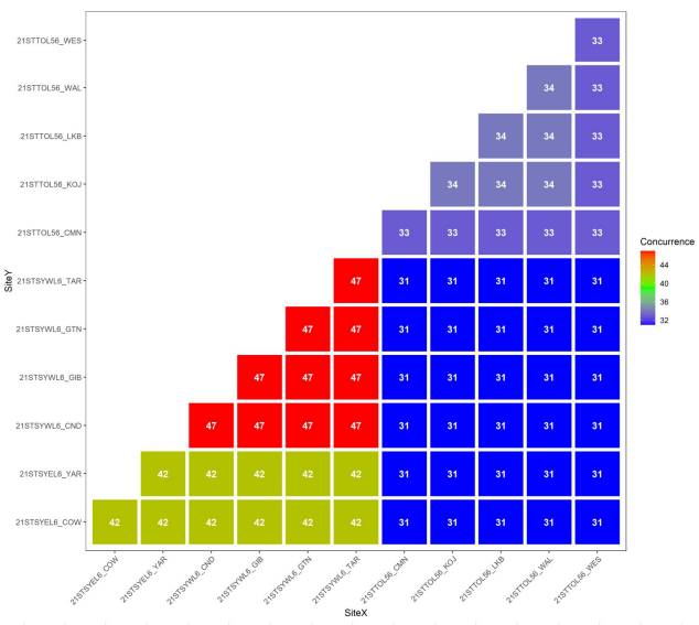 Colored triangular heatmap grid with numbered cells from green to red and blue, plus a vertical color scale