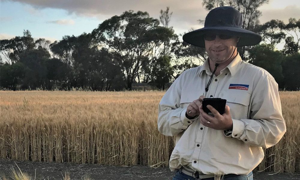 Person in a wide-brim hat holding a phone in a dry grassy field at sunset