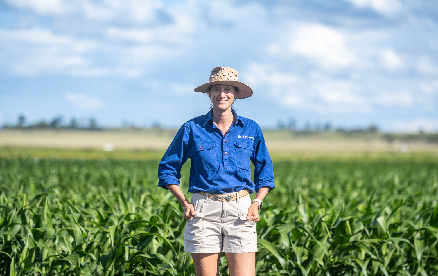 Person standing in a cornfield, wearing a blue shirt, khaki shorts, and a straw hat.