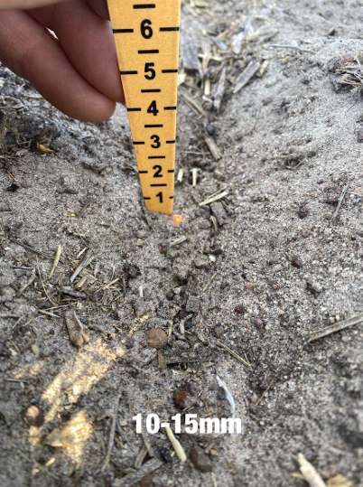 Hand holding ruler beside soil sample labeled 10–15 mm, showing small ground debris