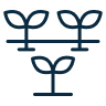 Three blue-green seedlings growing in a row on a light background