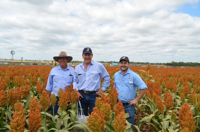 Three men standing in a blooming orange field under a cloudy sky