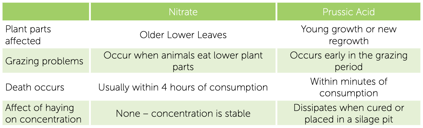 Green table comparing pain levels across three stages of growth and development.