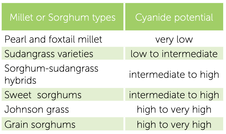 Table of millet and sorghum types with cyanide potential from very low to very high