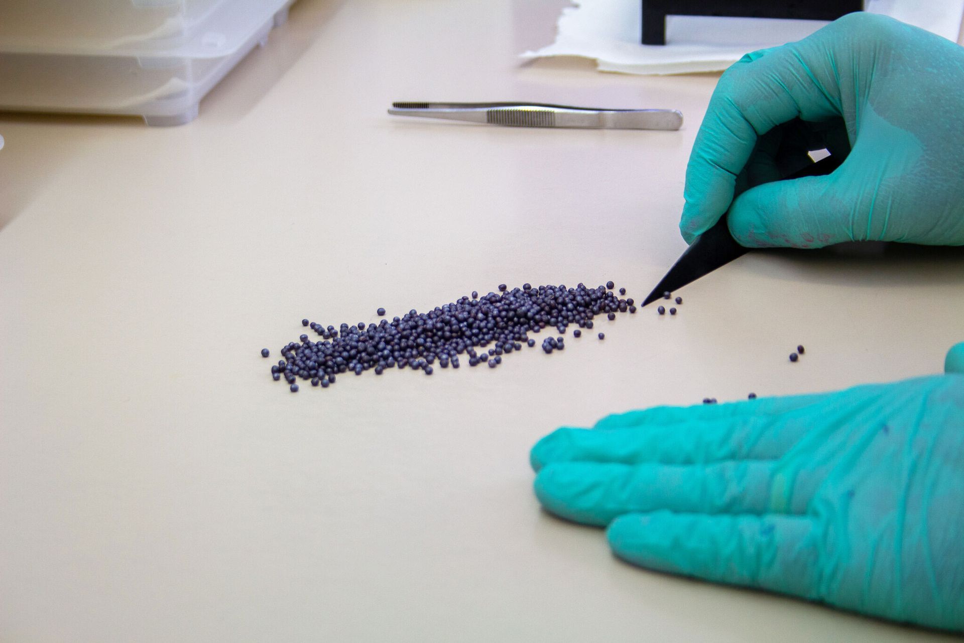 Gloved hands sorting tiny purple beads on a white tabletop with tweezers