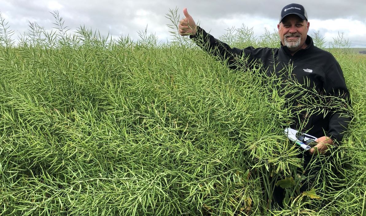 Man standing in a dense green field, pointing upward and holding a clipboard under a cloudy sky
