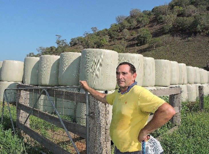 Man leaning on a fence beside stacked hay bales on a sunny hillside