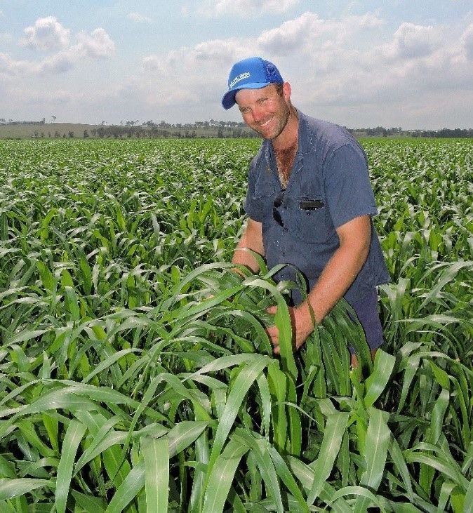 Farmer in blue cap inspecting tall green crop in a field under cloudy sky