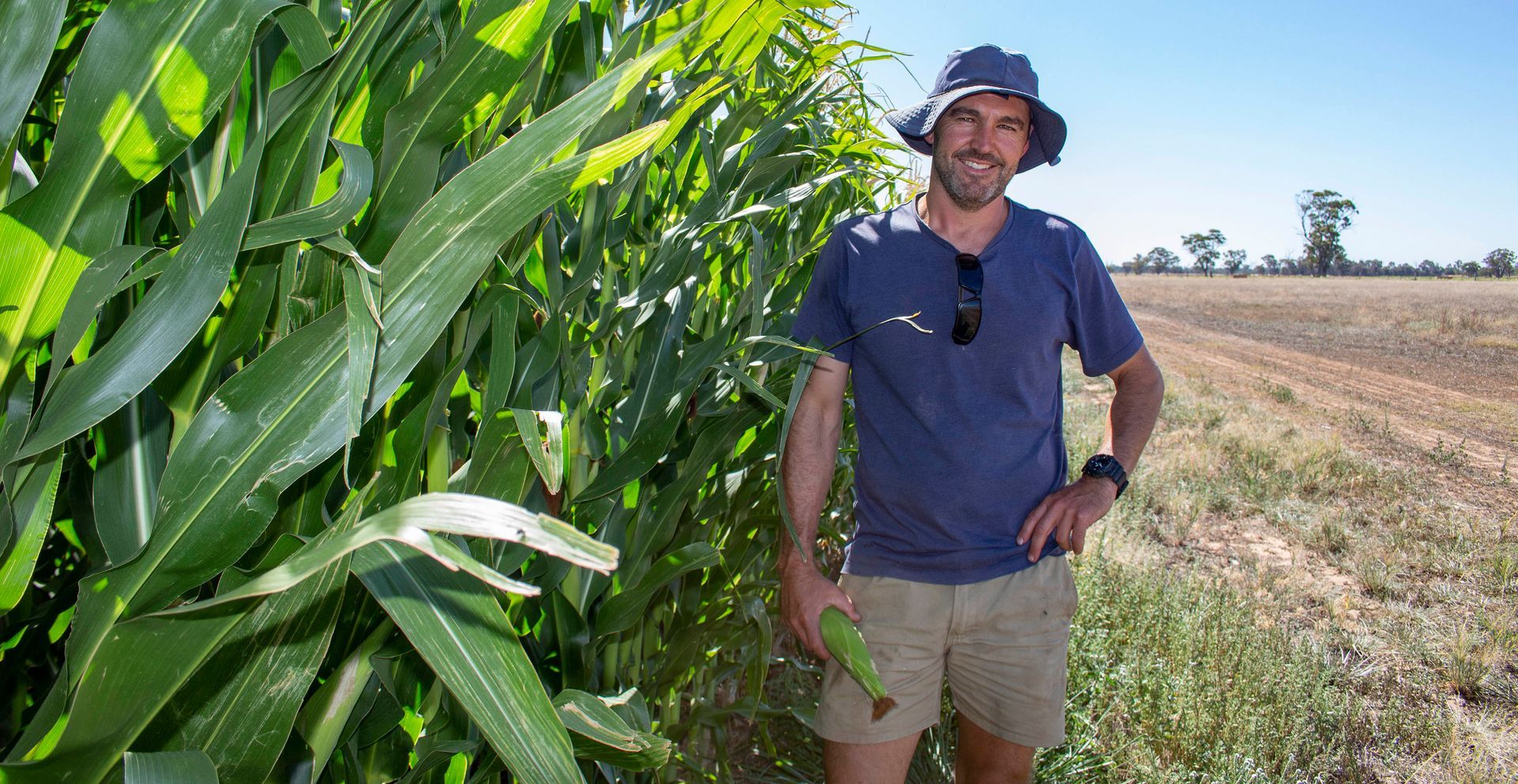 Man standing beside tall green corn plants in a field under bright sunlight