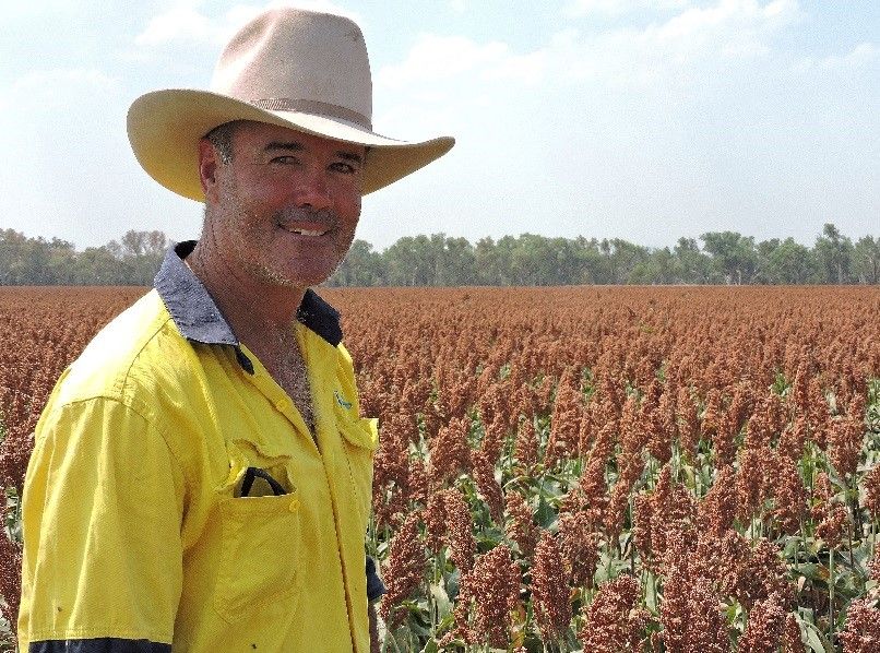 Man in a white cowboy hat and yellow shirt standing in a crop field under a clear sky