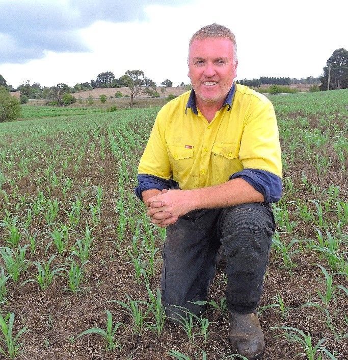 Farmer kneeling in a crop field, wearing a bright yellow shirt and boots.