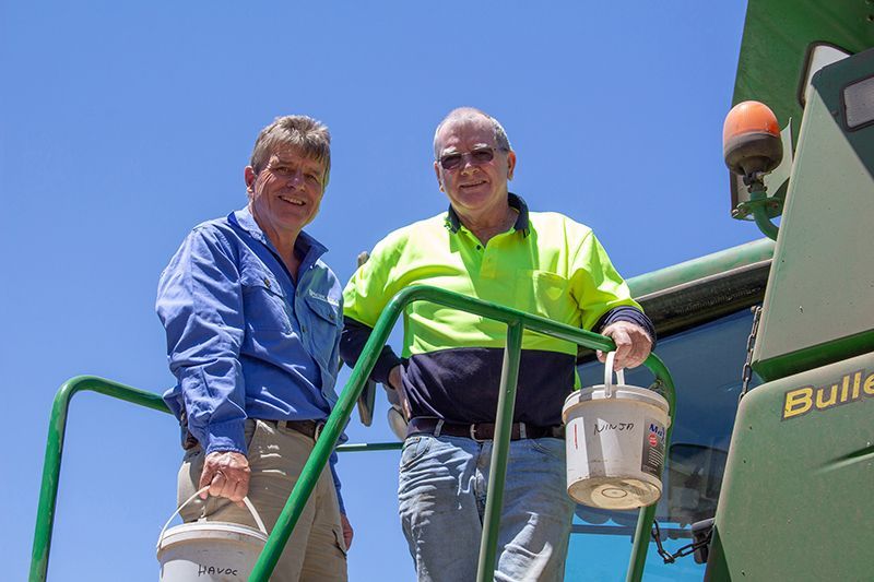 Two workers in safety gear stand on a green lift against a blue sky, holding paint buckets.