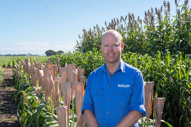 Man standing in a cornfield beside young saplings, wearing a bright blue shirt under a clear sky