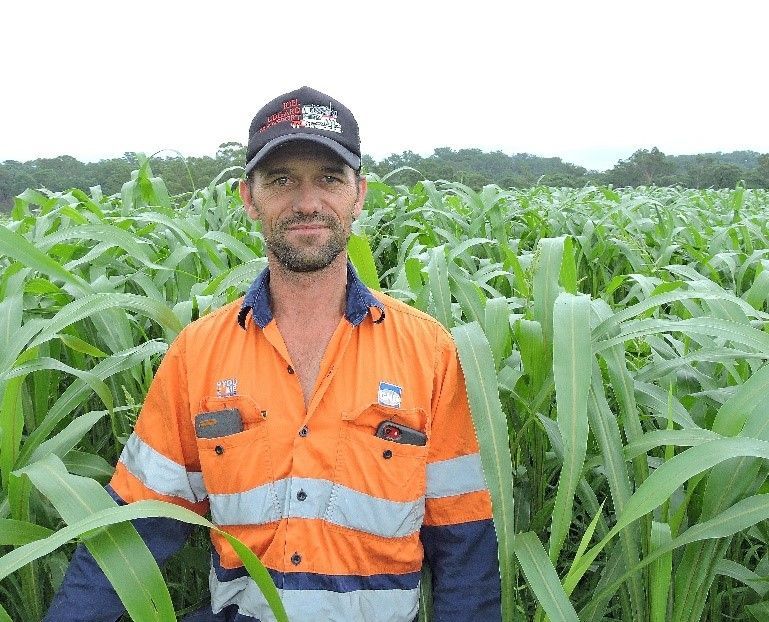 Man in orange safety vest and black cap standing in a green cornfield, facing the camera.