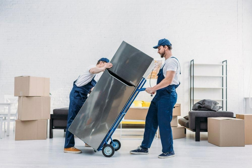 removalists