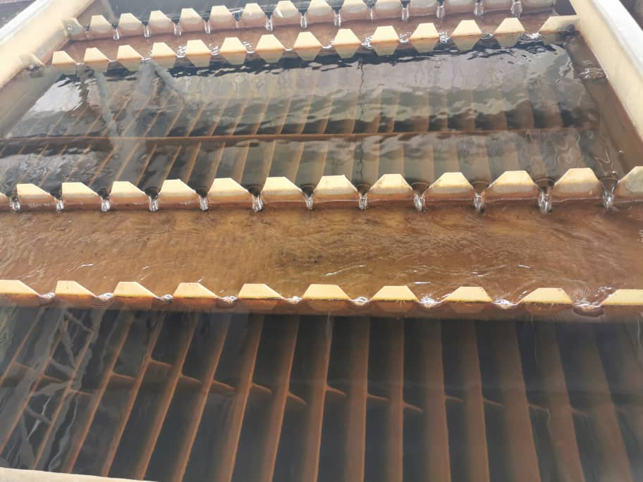 Close-up of a weathered corrugated roof with rows of white triangular spikes and metal bars below