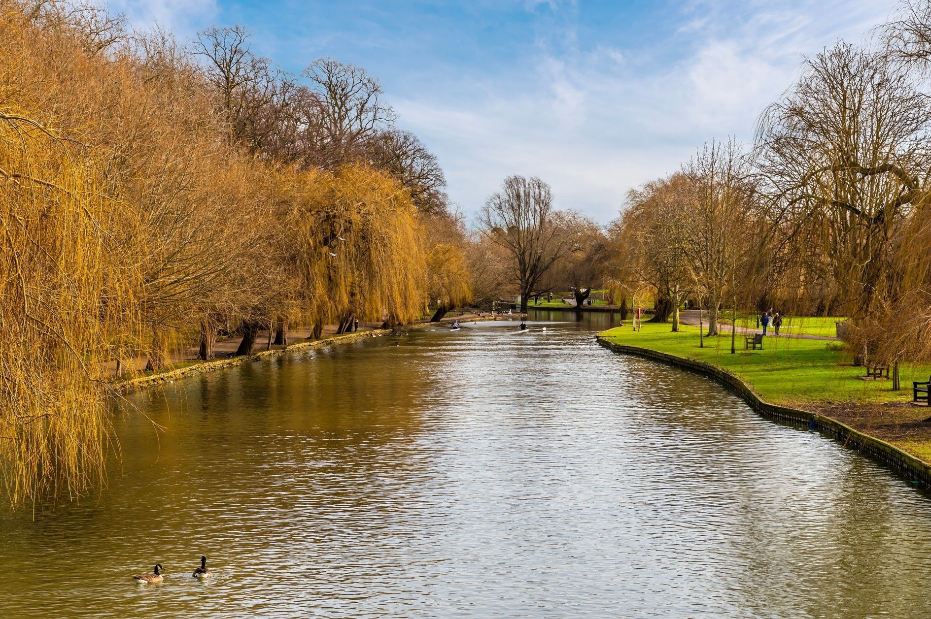 River lined with golden autumn trees, a bridge, and grassy banks under a blue sky.